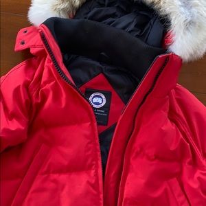Canada goose bomber